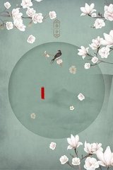 雏鸟幼儿小学生短视频