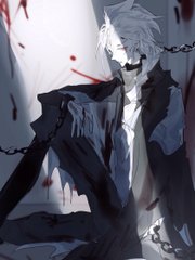 小红帽live官网最新版本更新内容