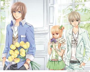 深入了解 含羞草研究所Ios2020